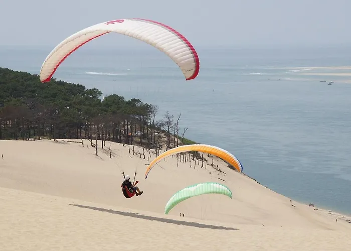 Domaine Les Abberts 3* ארס