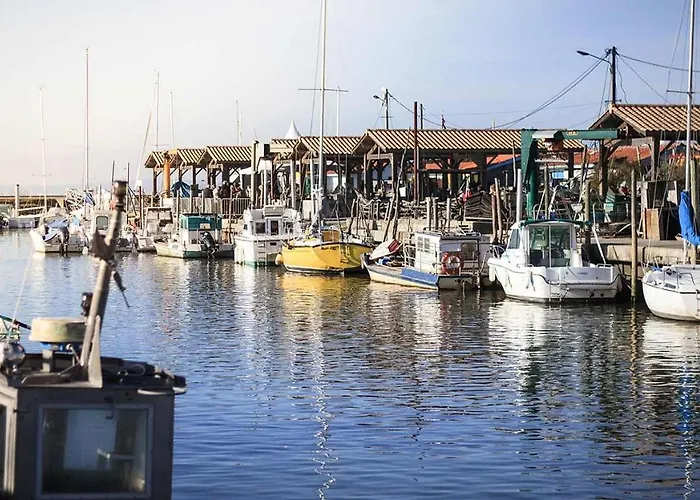 Domaine Les Abberts אתר קמפינג ארס